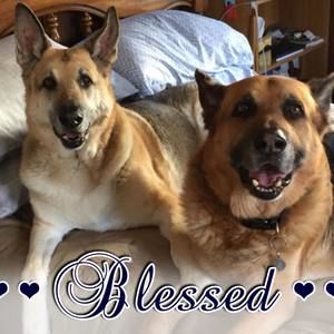 Meet your Posher, Melanie